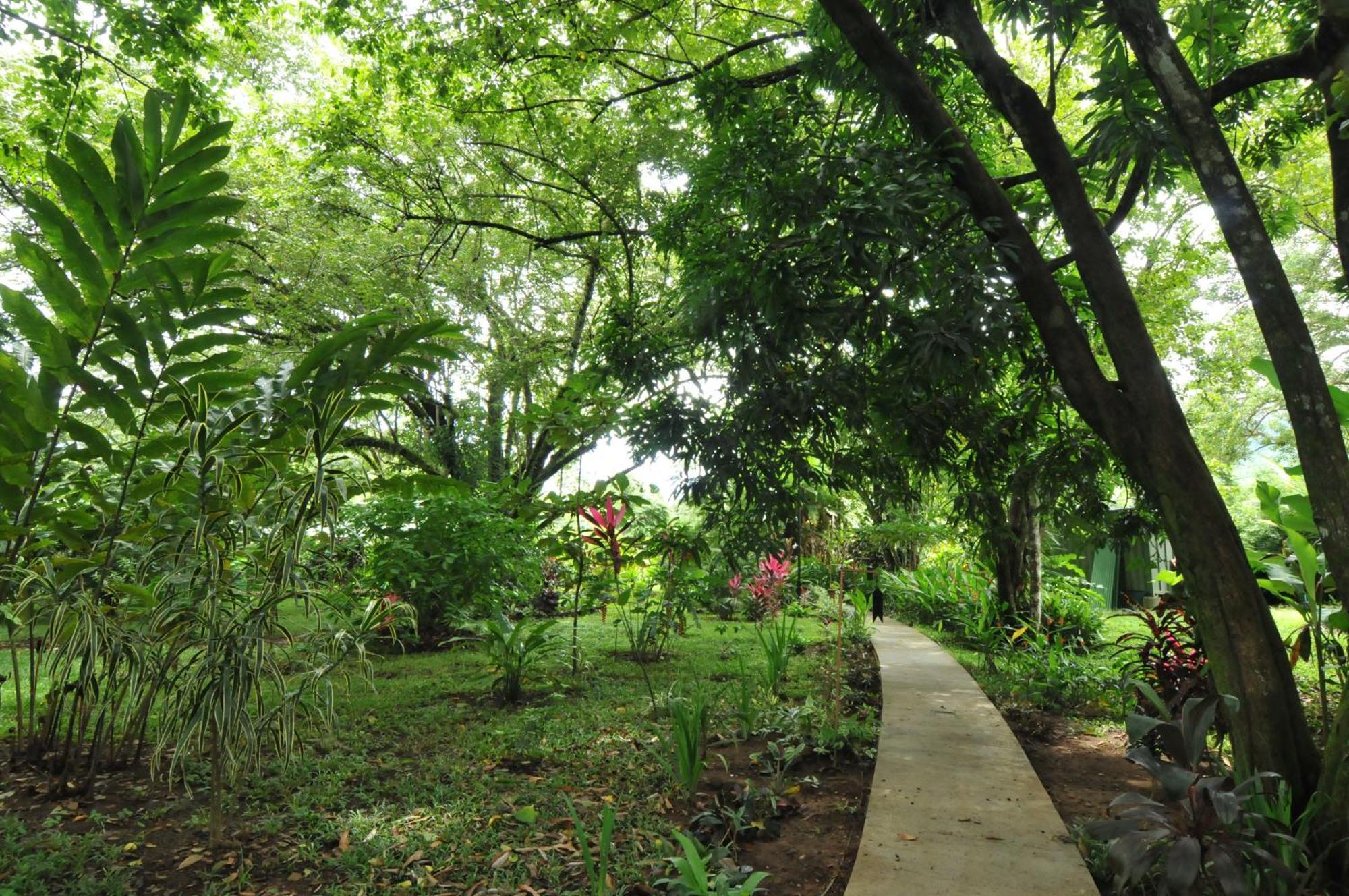 Las Brisas Del Sur Ojochal Exterior photo