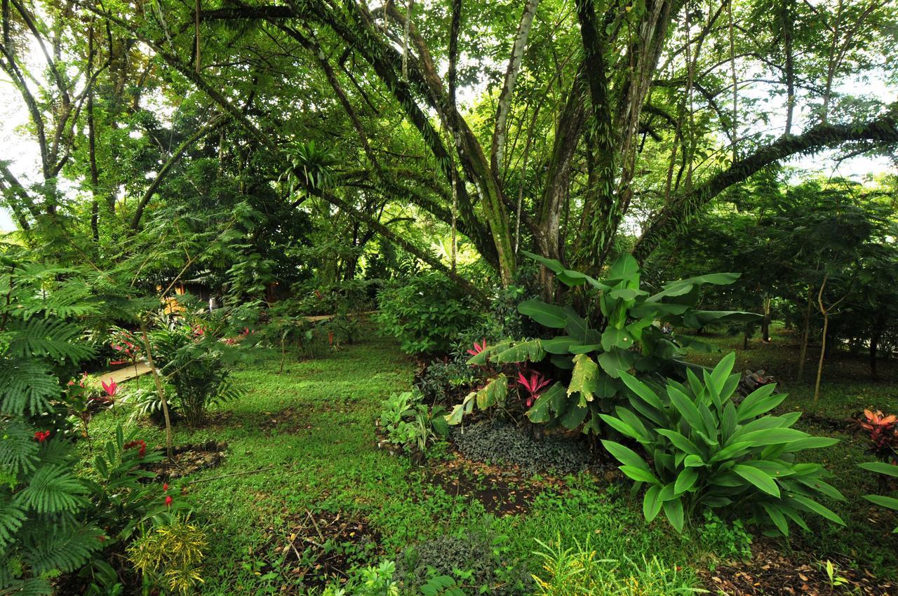 Las Brisas Del Sur Ojochal Exterior photo